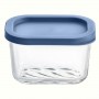 Контейнер ECOmo Daily Box 310 мл