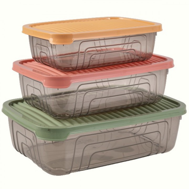 Набор контейнеров Herevin Rectangular Storage Bowl Set-2024 Colours, 0.6/1.05/1.75 л (163331-150)