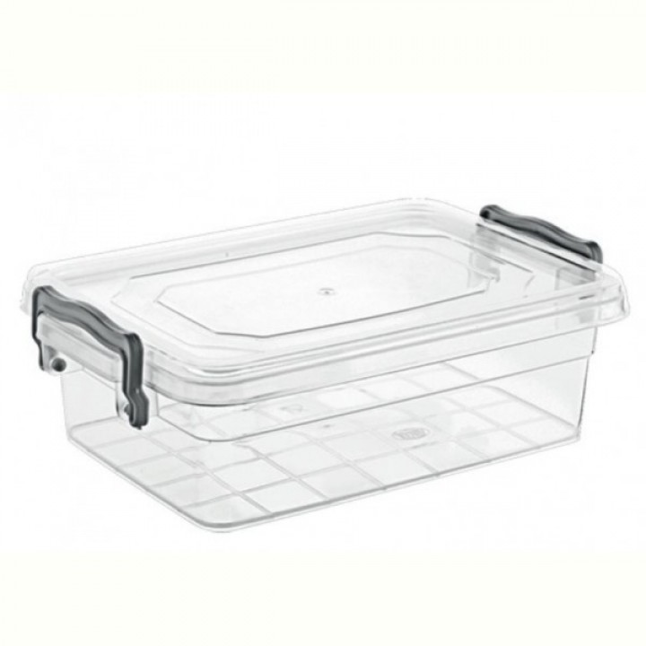Контейнер Violet House 0462 Family Box, 1.3 л