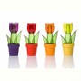 Спецівниця Herevin Tulip Shape Mix