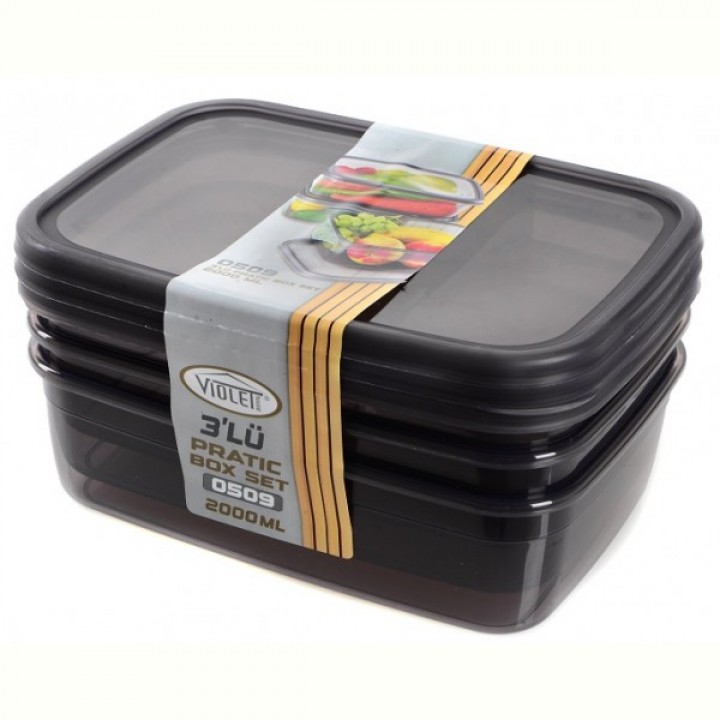 Набір контейнерів Violet House 0509 Transparent Black 2 л, 3 шт