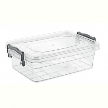 Контейнер Violet House 0464 Family Box, 2.2 л