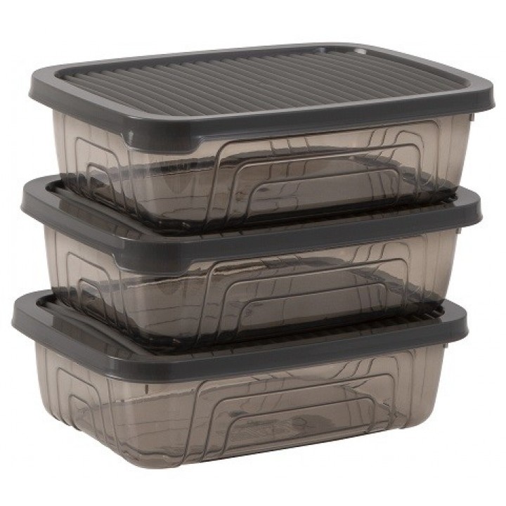 Набір контейнерів Herevin Style Grey 0.35 л (162330-012)