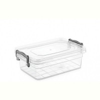 Контейнер Violet House 0457 Family Box, 0.3 л