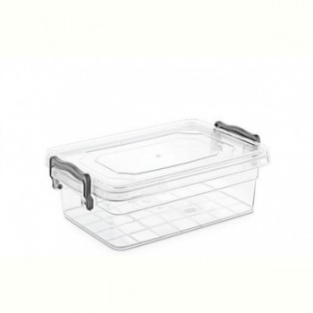 Контейнер Violet House 0457 Family Box, 0.3 л