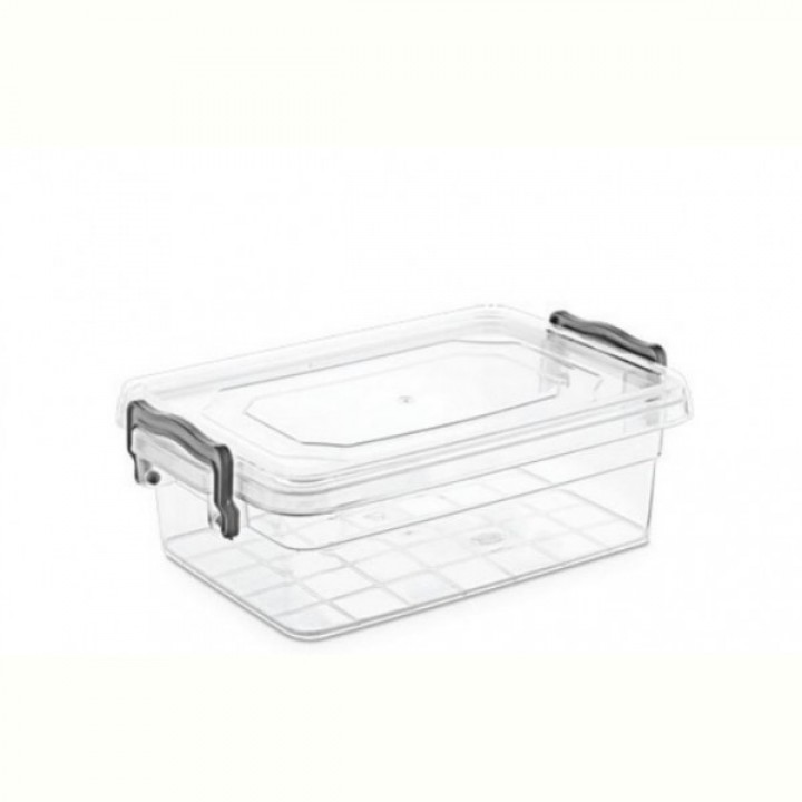 Контейнер Violet House 0457 Family Box, 0.3 л