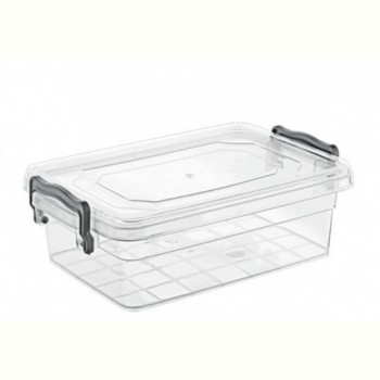 Контейнер Violet House 0458 Family Box, 0.65 л